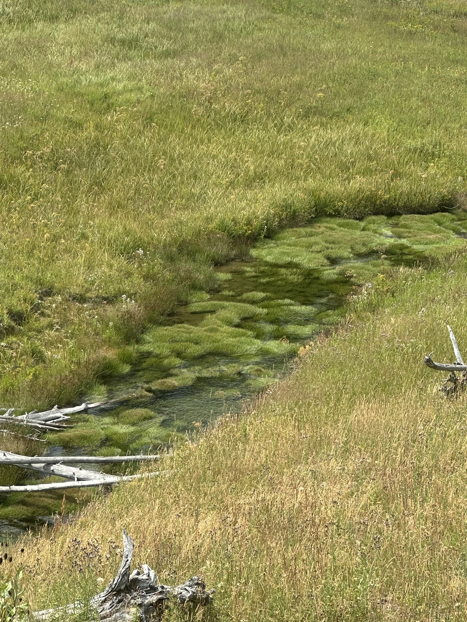 Yellowstone And Grand Teton National Parks - Image 672